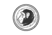 Monkey Coin sketch vector