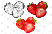 Whole and slice strawberry. Vector