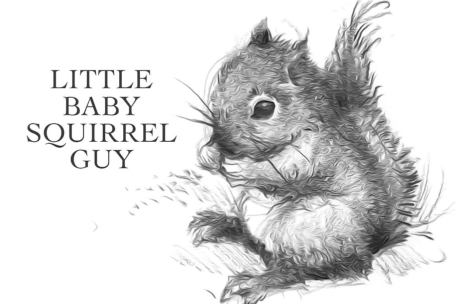 Little Baby Squirrel Guy Sketch