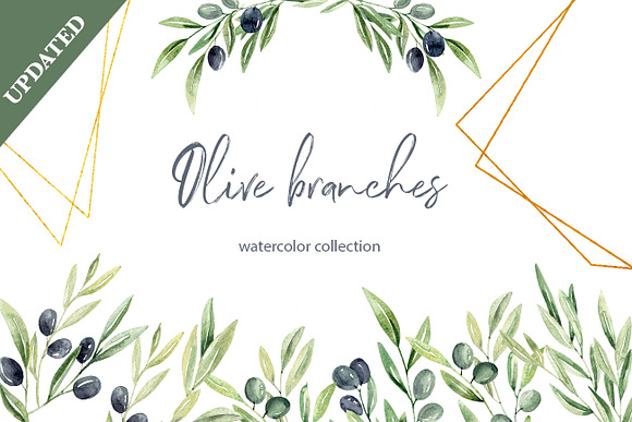 Watercolor Olive branches in Illustrations - product preview 7
