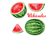 Set of watermelons and slices.