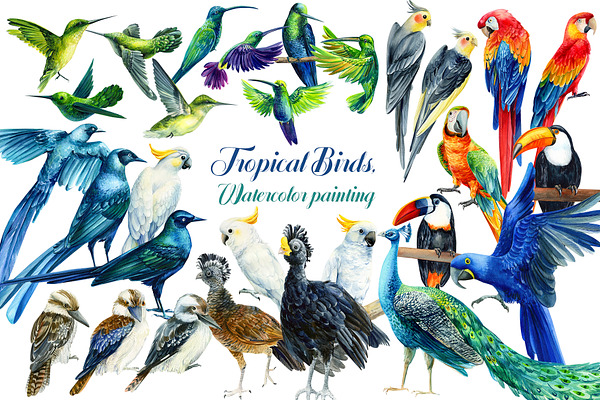 Tropical Birds, Watercolor painting