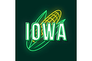 Iowa vintage 3d vector lettering