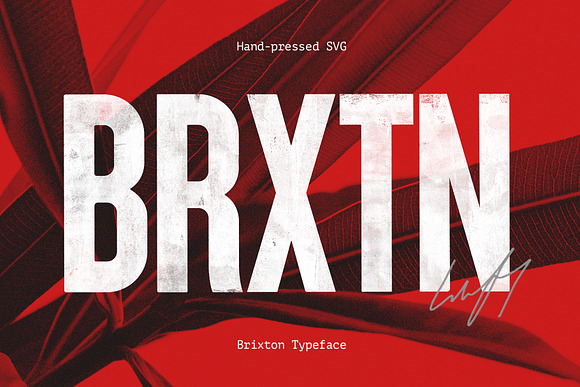 Brixton SVG - Handprinted Typefamily in Display Fonts - product preview 17