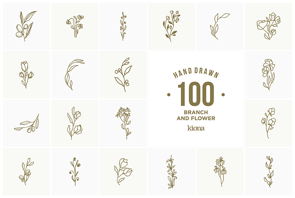 Hand Drawn Branch and Flower (VOL 2) in Logo Templates - product preview 4