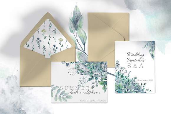 Watercolor herbs collection in Illustrations - product preview 1