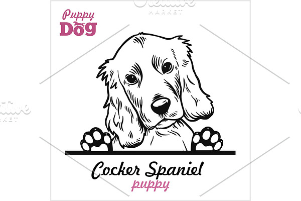 Puppy Cocker Spaniel - Peeking Dogs