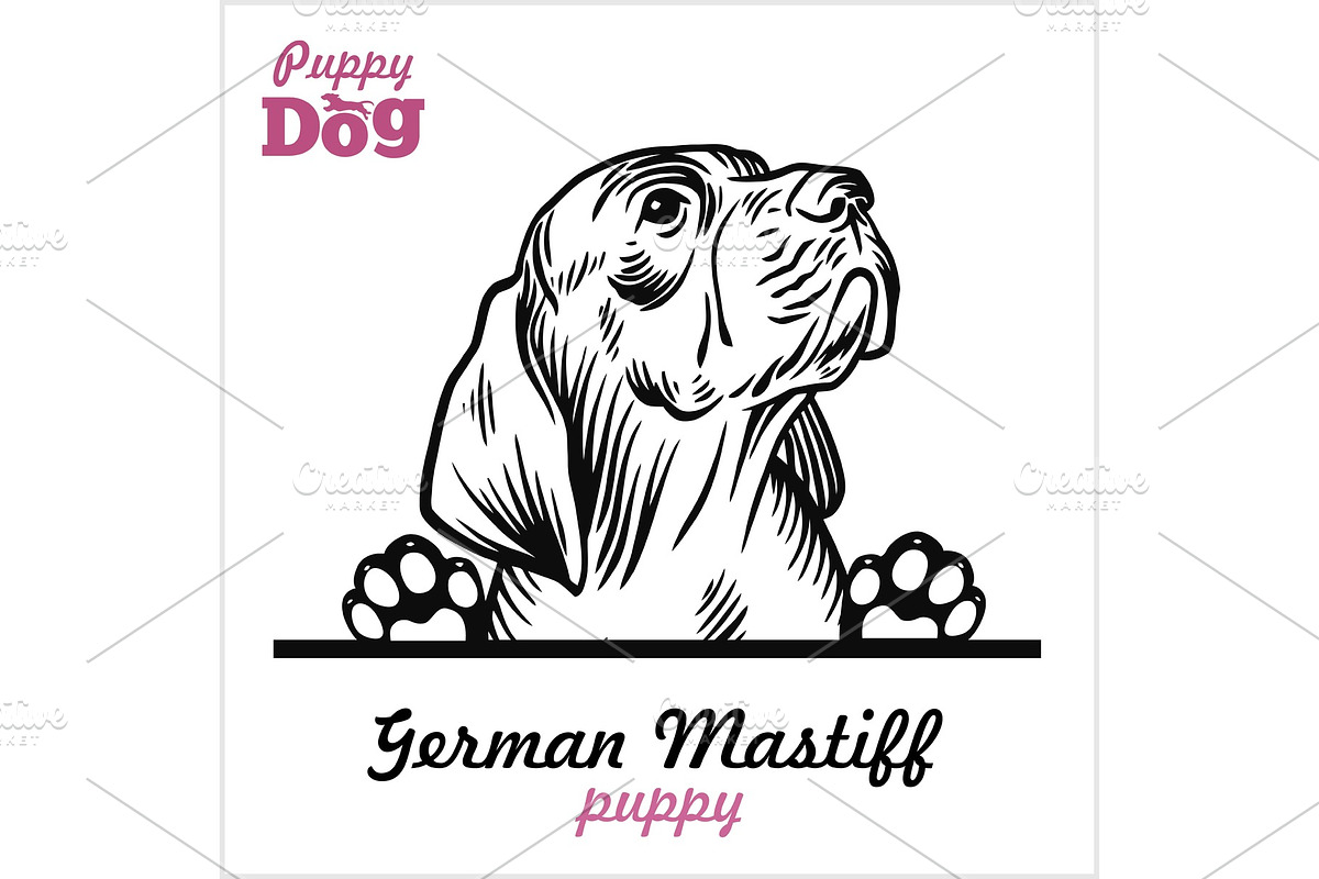 Puppy German Mastiff - Peeking Dogs in Illustrations - product preview 8