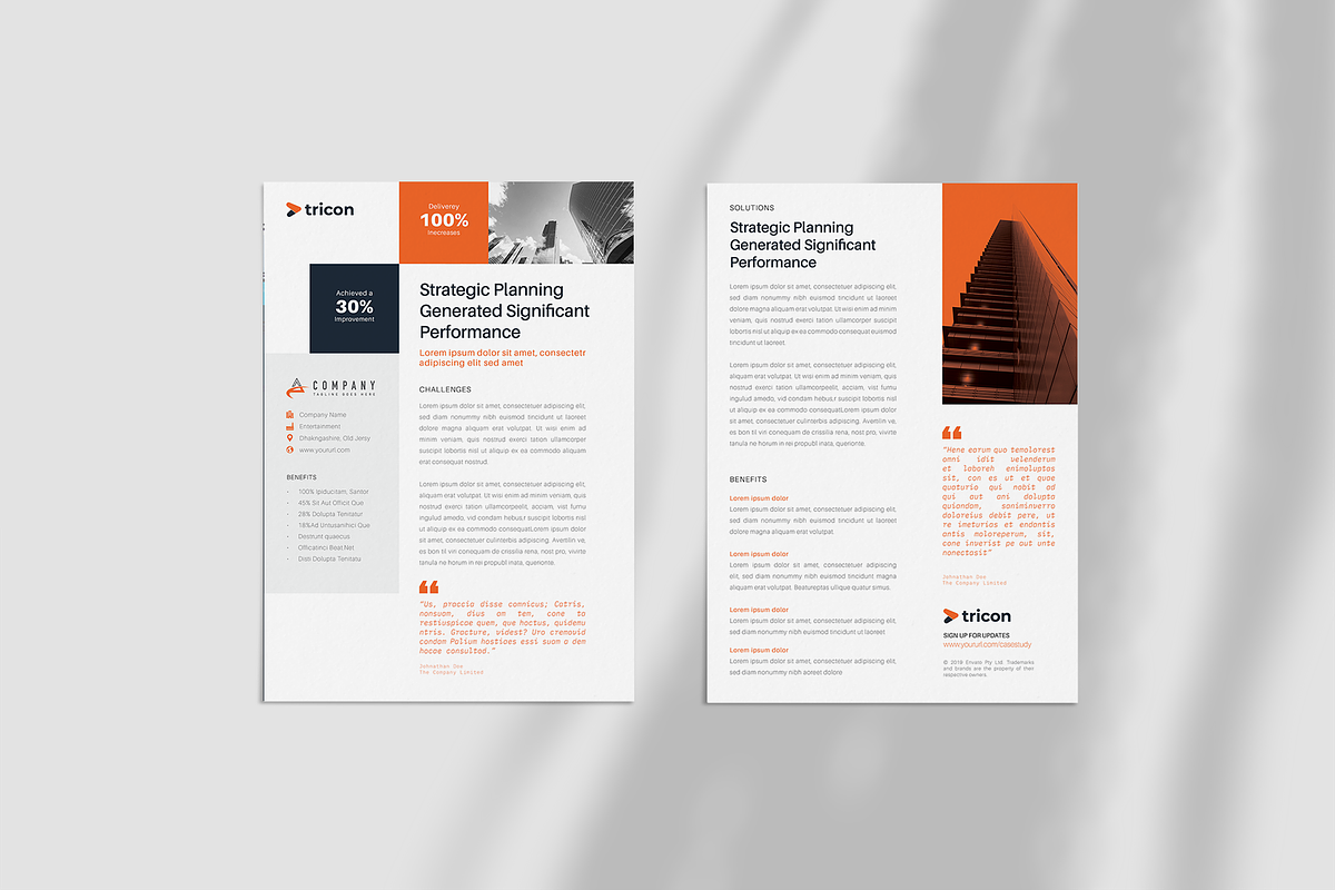 Case Study Flyer in Flyer Templates - product preview 8