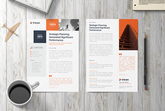 Case Study Flyer in Flyer Templates - product preview 2