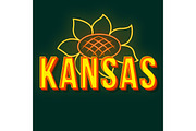 Kansas vintage 3d vector lettering