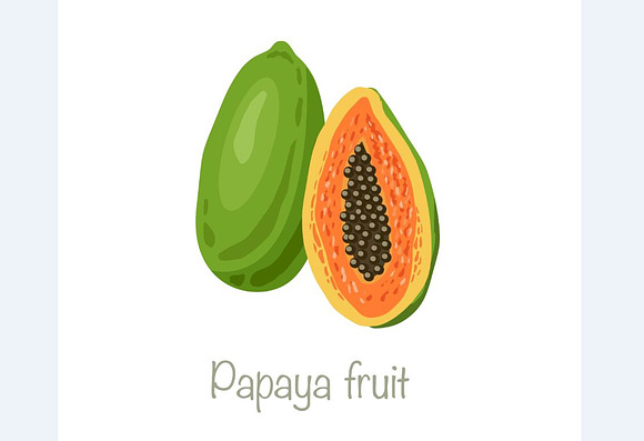 Papaya seamless pattern. Vector in Patterns - product preview 3