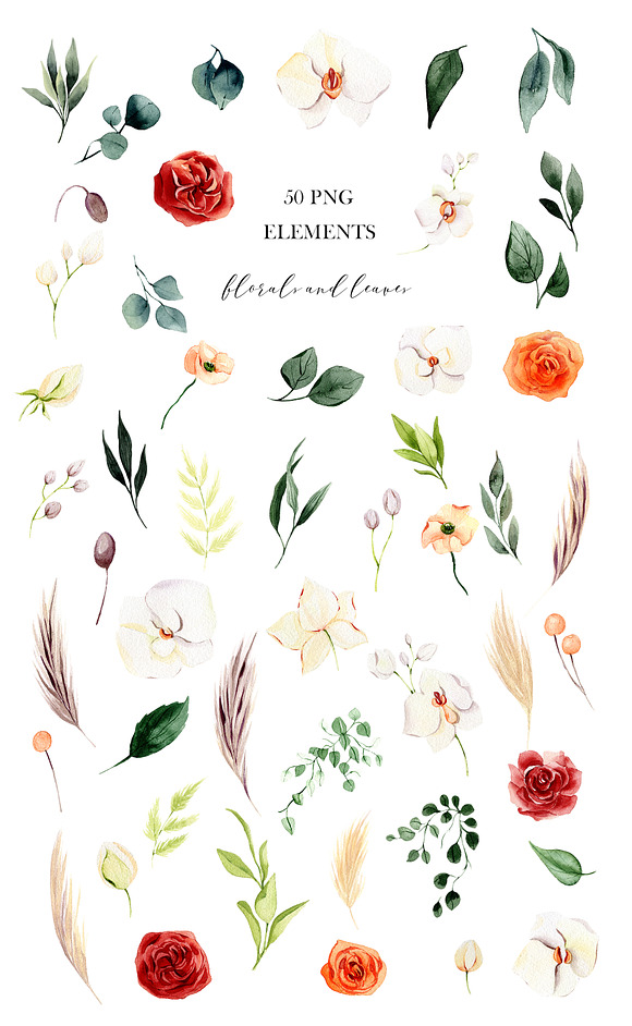 Ceremony floral collection in Illustrations - product preview 7