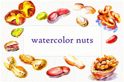 Watercolor nuts