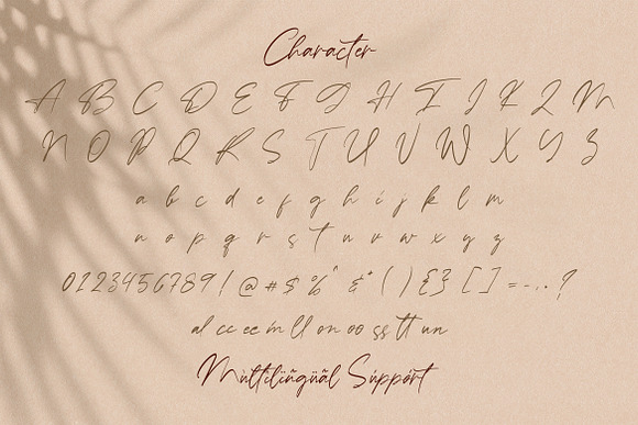 Ballerina - Signature Script Font in Script Fonts - product preview 13