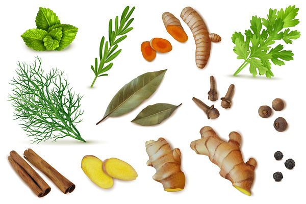Vector spices and herbs