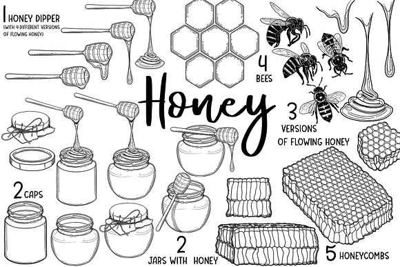 Graphic honey - vector collection in Illustrations - product preview 1