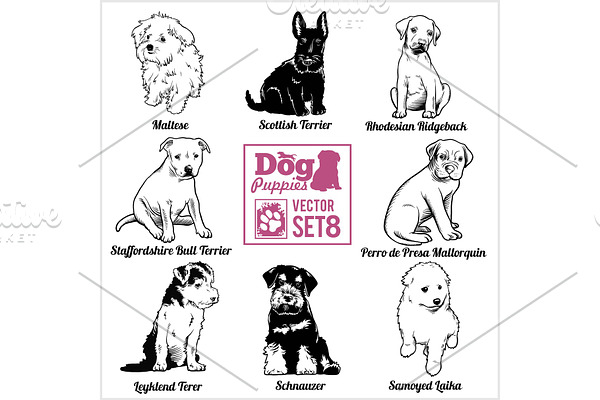 Dog Puppies - Vector set. Funny dogs