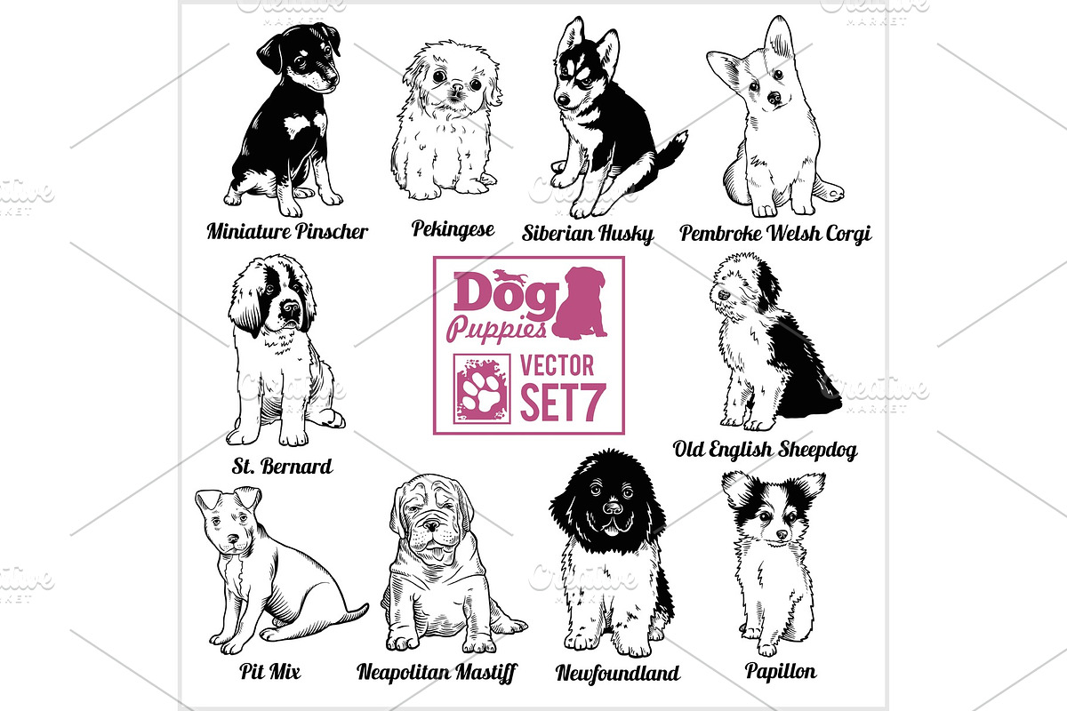 Dog Puppies - Vector set. Funny dogs in Illustrations - product preview 8