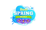 Best Spring Big Sale, Iris Flowers