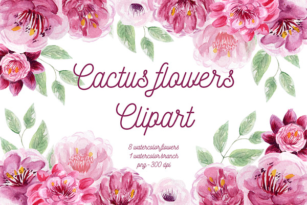 Cactus Flowers Set Clipart