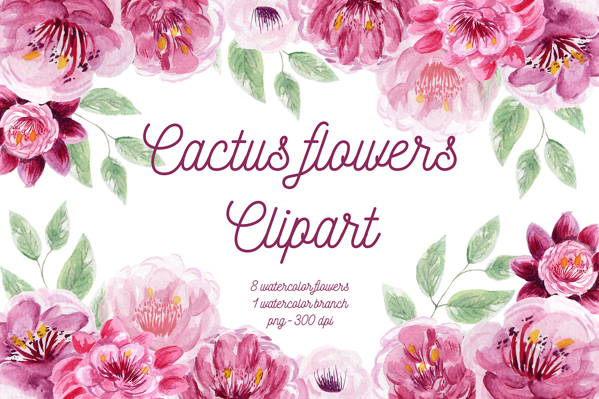 Cactus Flowers Set Clipart in Illustrations - product preview 8