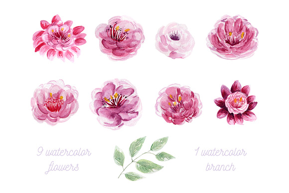 Cactus Flowers Set Clipart in Illustrations - product preview 1
