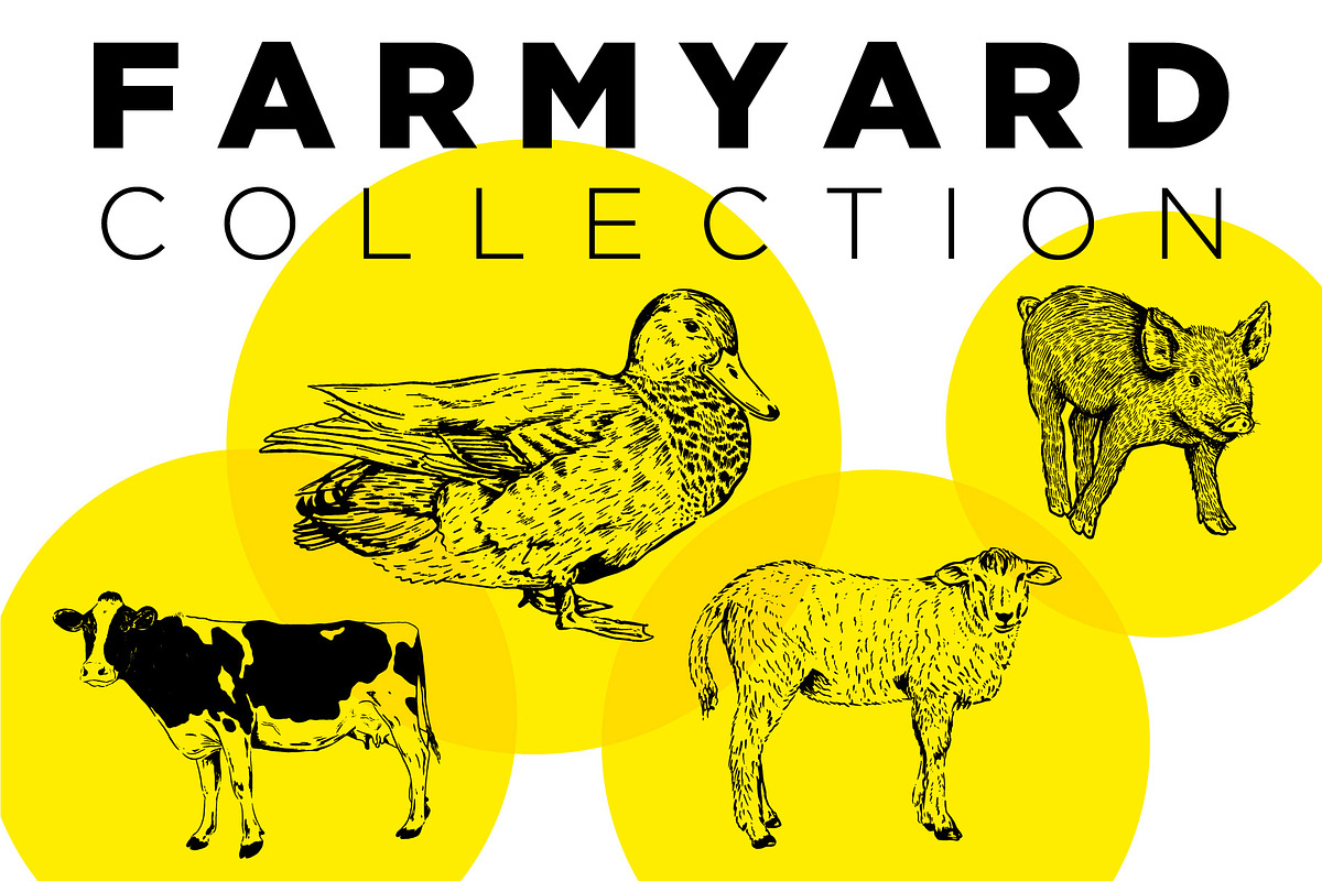 Farm Animal Illustration Collection in Illustrations - product preview 8