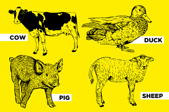 Farm Animal Illustration Collection in Illustrations - product preview 1