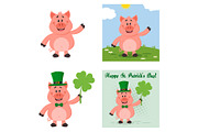 Cute Pig Character Set 1. Collection
