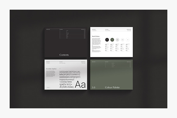 ODESSA / Brand Guidelines in Brochure Templates - product preview 7
