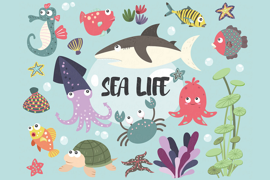 Sea Life Collection Set in Illustrations - product preview 8