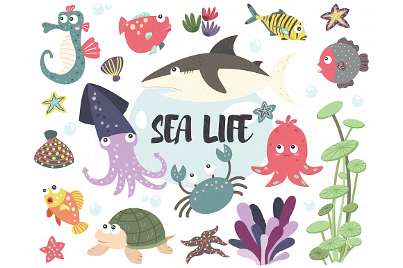 Sea Life Collection Set in Illustrations - product preview 1