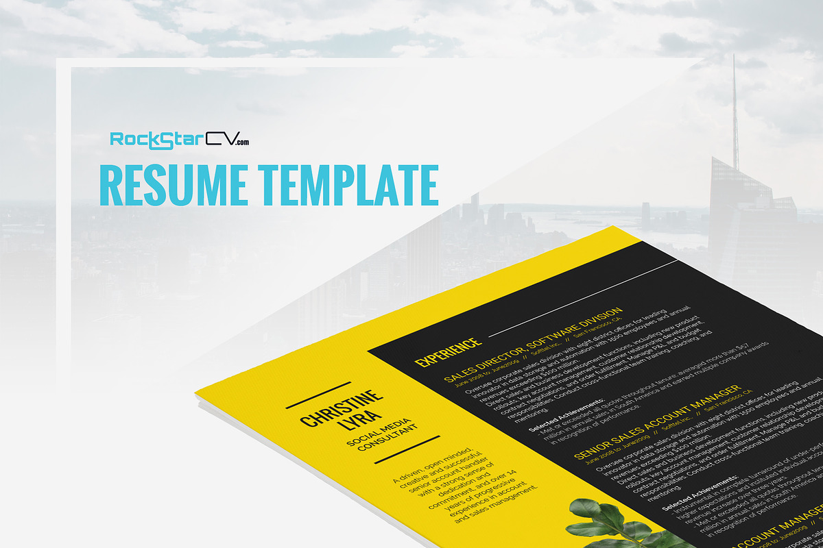 Resume Template Lyra in Resume Templates - product preview 8