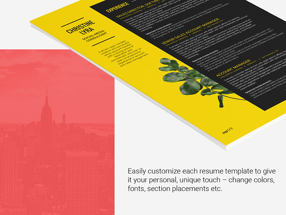 Resume Template Lyra in Resume Templates - product preview 5