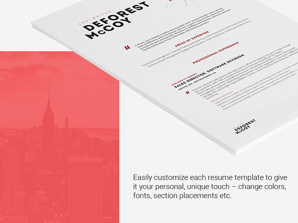 Resume Template Primus in Resume Templates - product preview 4