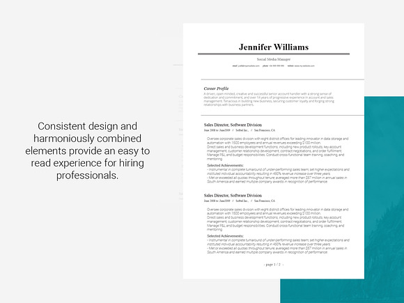 Resume Template Seren in Resume Templates - product preview 2