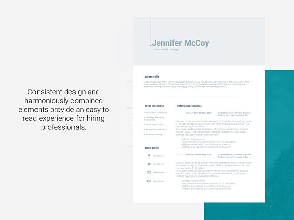 Resume Template Shona in Resume Templates - product preview 3