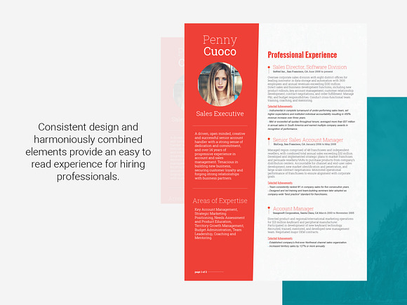 Resume Template Tucana in Resume Templates - product preview 3