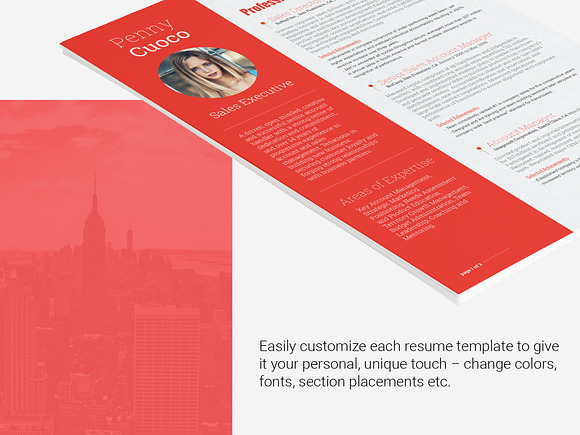 Resume Template Tucana in Resume Templates - product preview 4