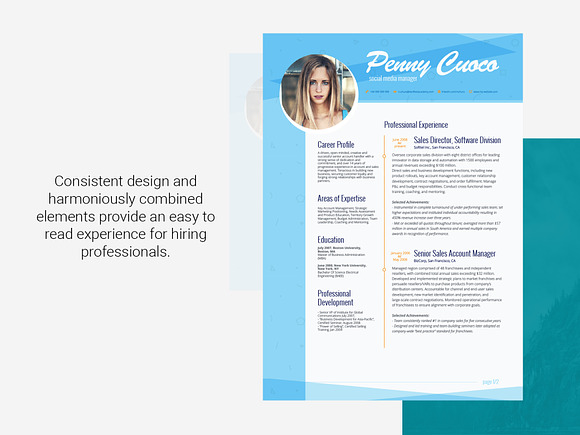 Resume Template Venatici in Resume Templates - product preview 2