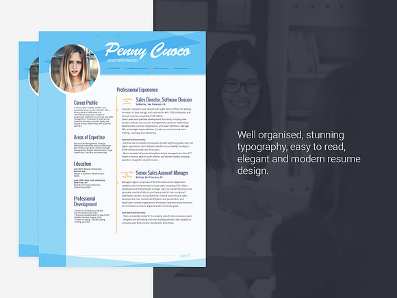 Resume Template Venatici in Resume Templates - product preview 3