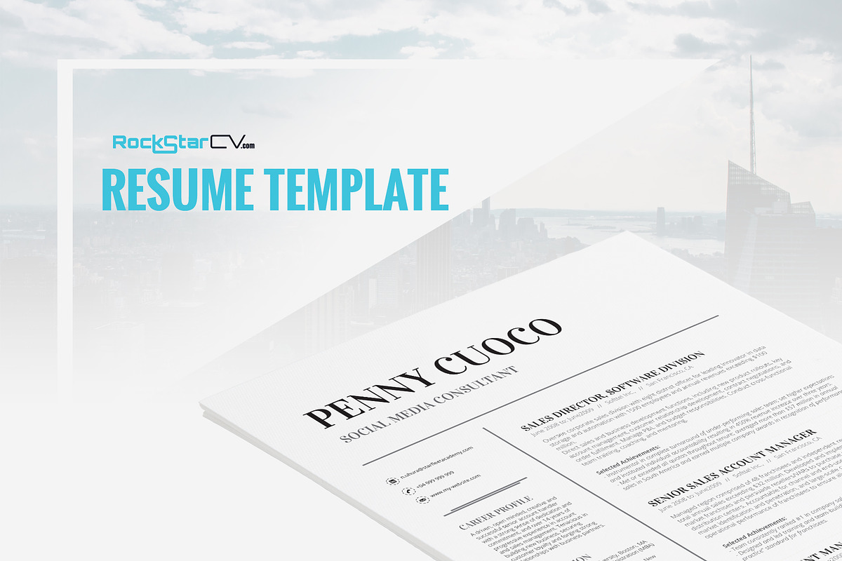 Resume Template Volantis A in Resume Templates - product preview 8