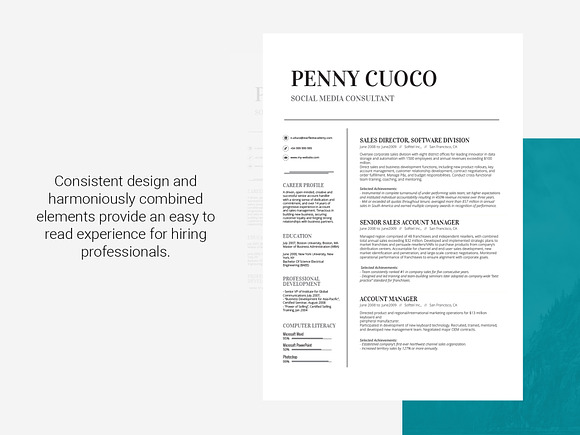 Resume Template Volantis A in Resume Templates - product preview 2