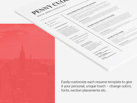 Resume Template Volantis A in Resume Templates - product preview 6
