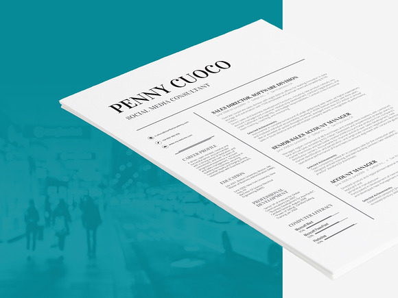 Resume Template Volantis A in Resume Templates - product preview 7