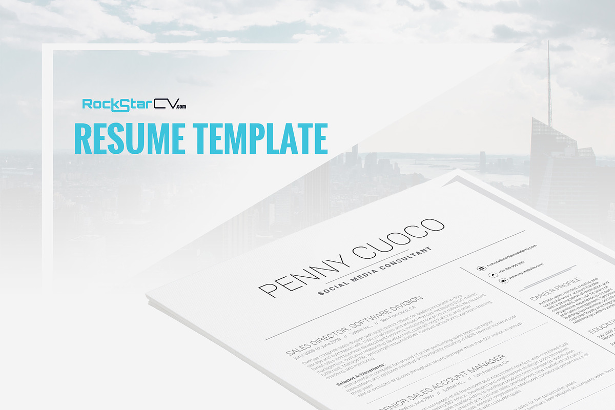 Resume Template Volantis B in Resume Templates - product preview 8