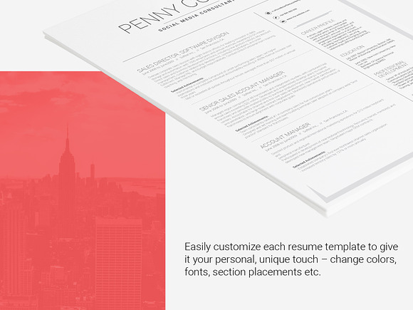Resume Template Volantis B in Resume Templates - product preview 5