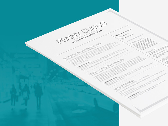 Resume Template Volantis B in Resume Templates - product preview 6