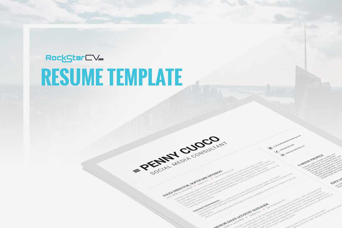Resume Template Volantis C in Resume Templates - product preview 8
